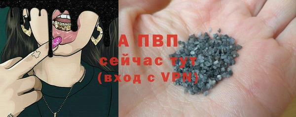 мяу мяу мука Белокуриха