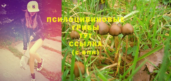 PSILOCYBIN Беломорск
