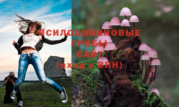 гашишное масло Балахна