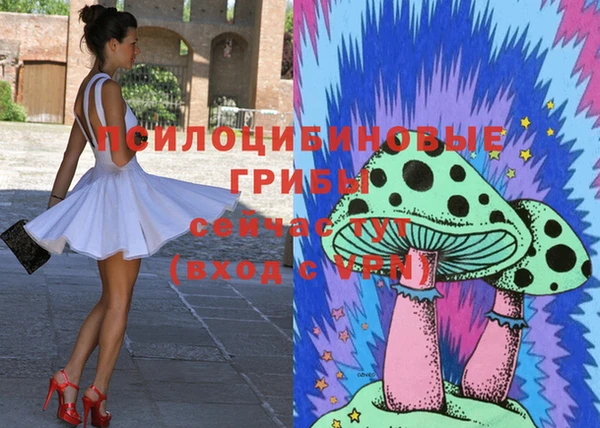Альфа ПВП Балабаново