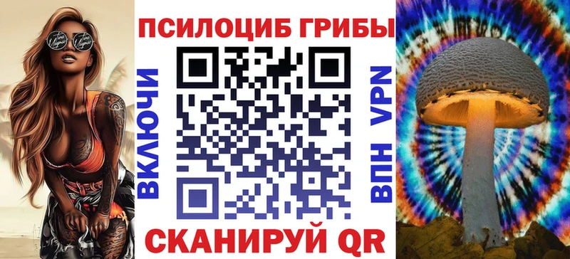 KRAKEN вход  Зарайск  Галлюциногенные грибы прущие грибы  наркота 